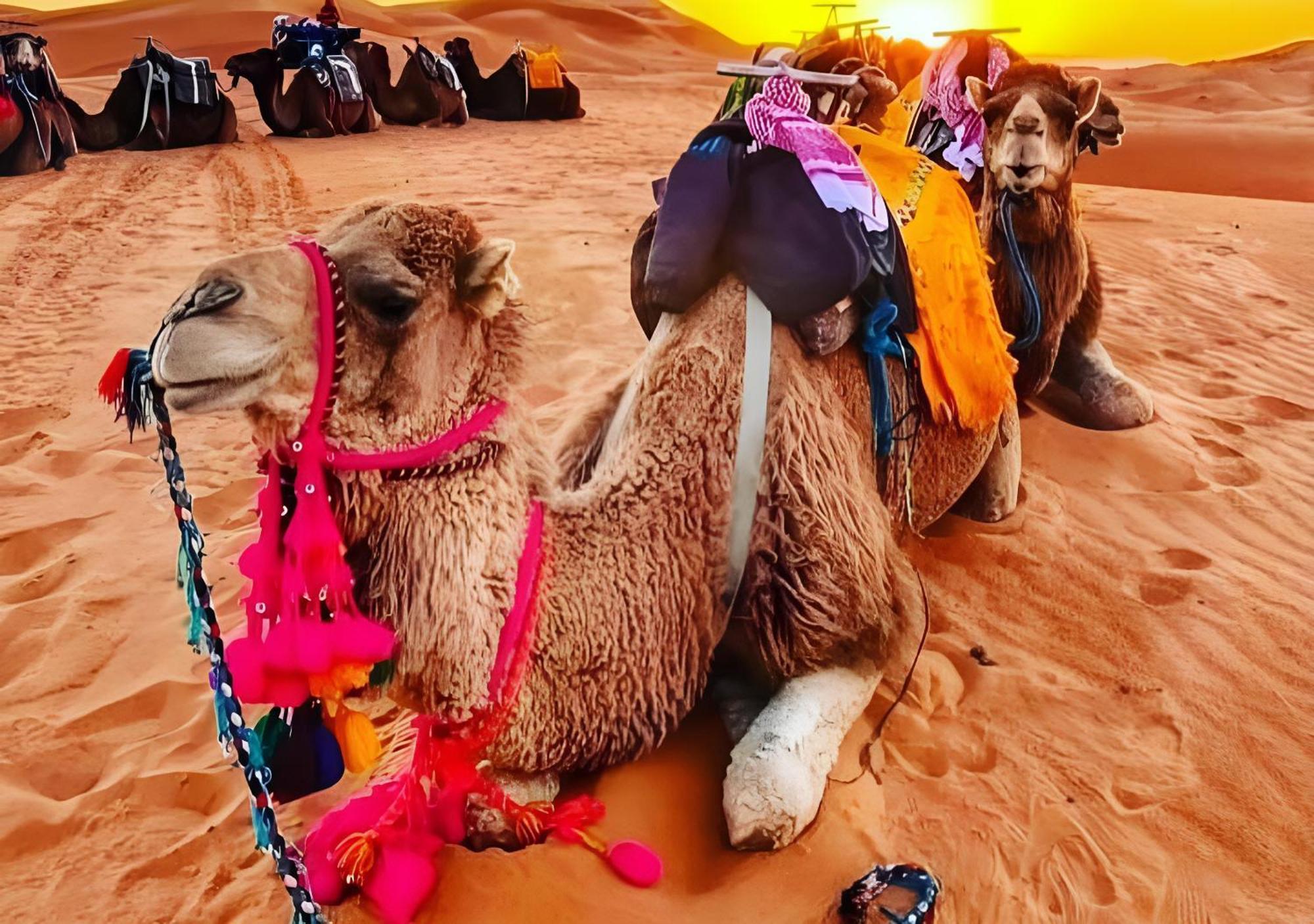 Merzouga Luxurious Tented Exteriör bild